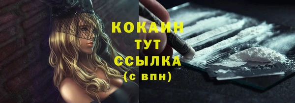гидра Белокуриха