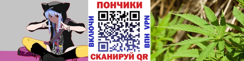 Каннабис MAZAR  цены   Енисейск 